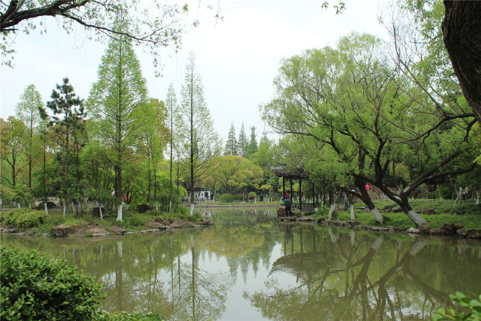 崇明岛，生态之岛的未来规划与展望