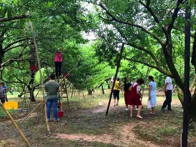 翁源龙仙最新房价，市场趋势与投资机会解析