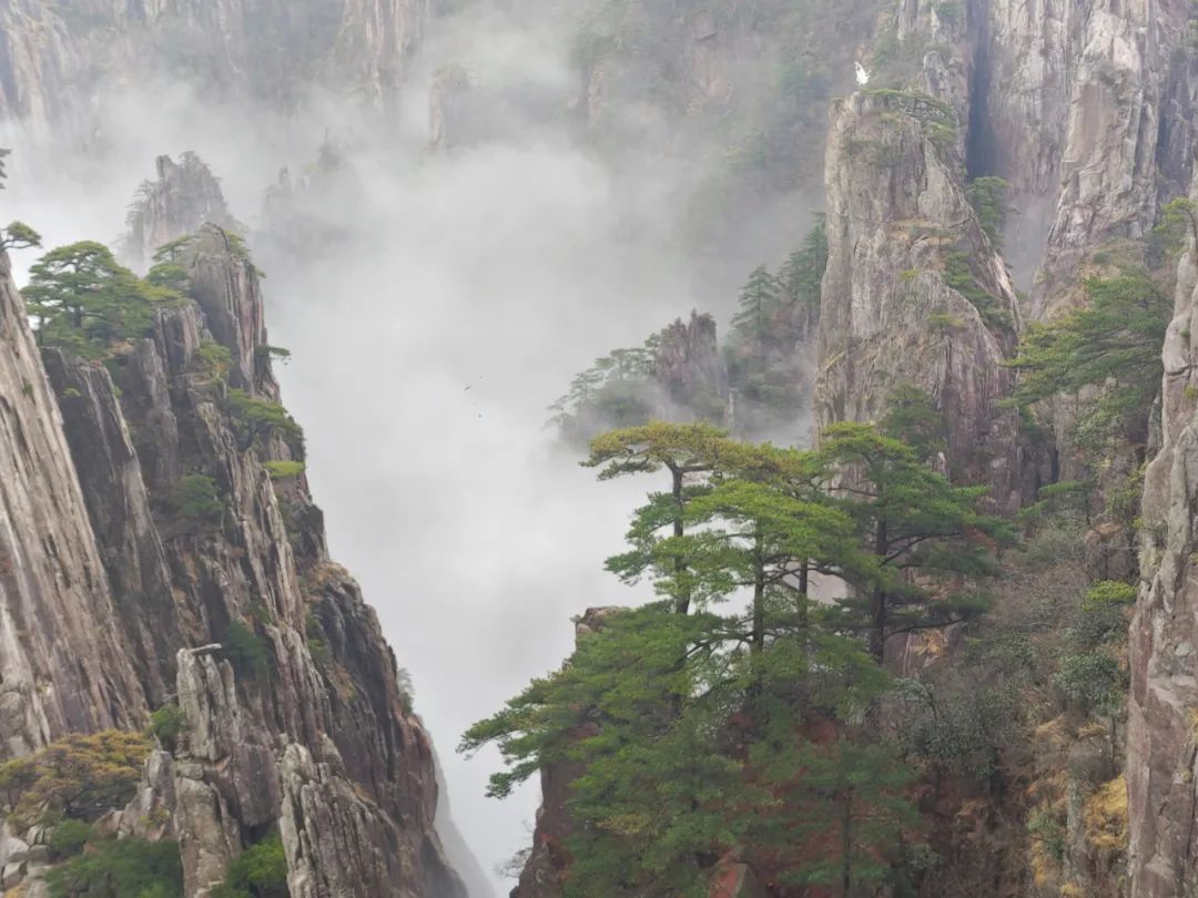 黄山，壮丽自然奇观与丰富文化底蕴的完美融合