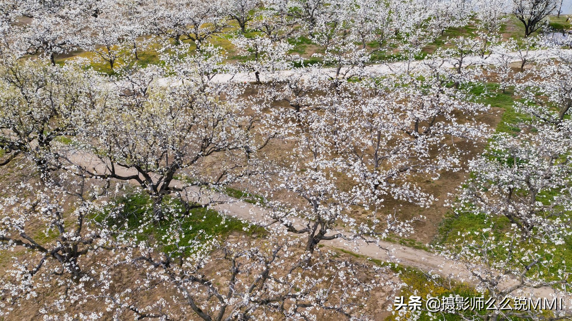 探索砀山最新楼盘，发现宜居之选