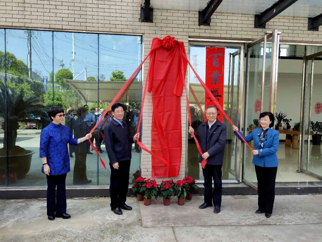 中央政务区建设进展与未来展望