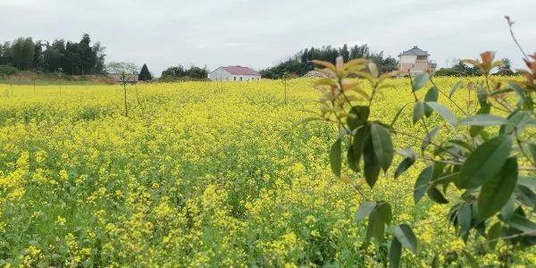 兑周村改造，旧貌换新颜，城市焕生机