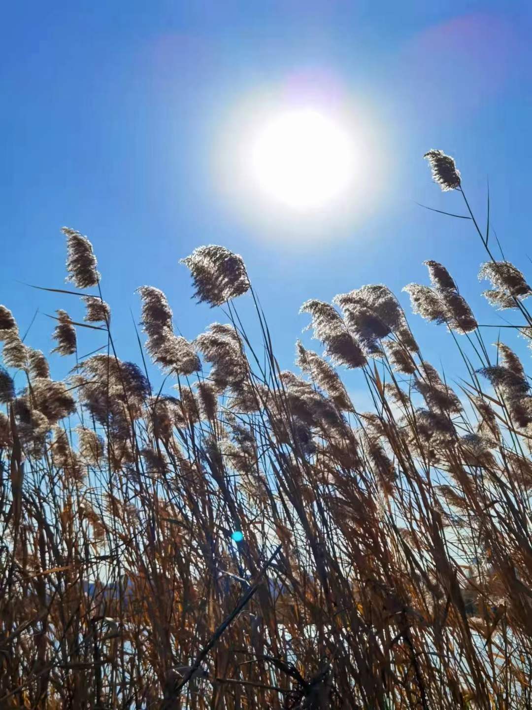 探秘华山湖，济南东部的璀璨明珠