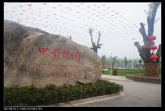 沈丘县，历史悠久的豫东明珠