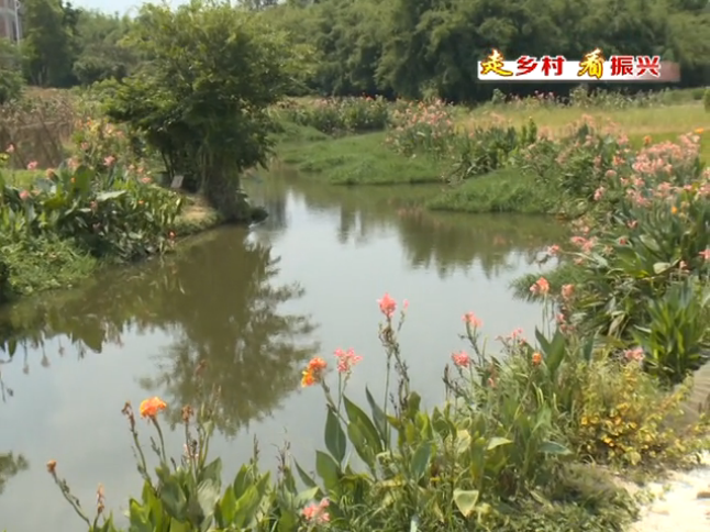 探秘石湾，繁华都市中的宜居家园