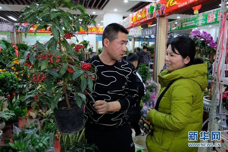 北梁棚改，城市更新的生动实践