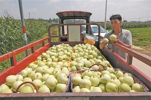 萧山新塘街道，打造现代化新城的新起点