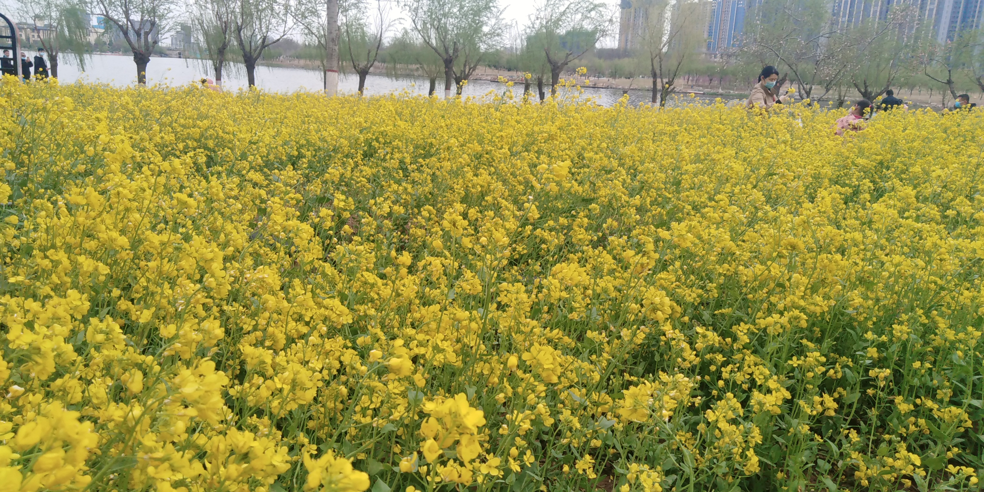 长春北湖春天，城市宜居新地标