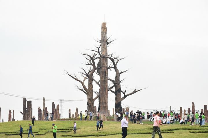 深度解析成都森宇集团——一家神秘而庞大的企业帝国