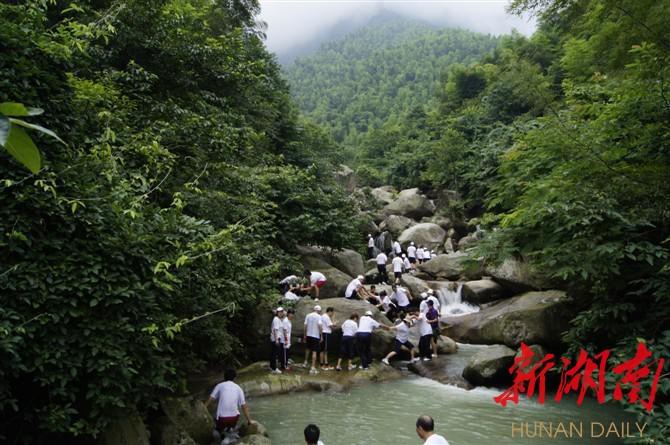 浏阳租房攻略，如何在浏阳找到满意的住房