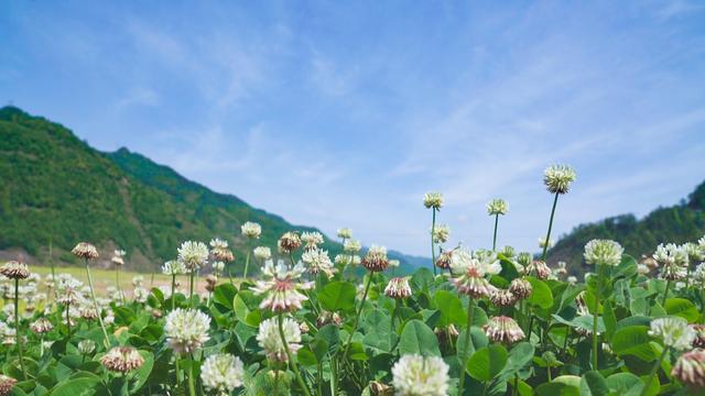 探秘丽水最新楼盘，你不能错过的宜居之选！