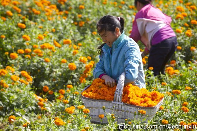 襄阳公租房最新情况，政策、申请条件与申请流程详解