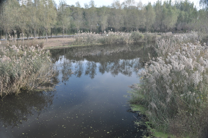 平谷马坊南区，未来之城的崛起