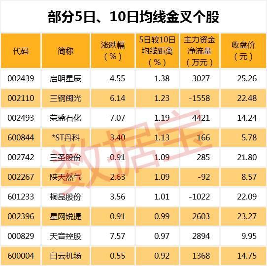 新奥长期免费资料大全,基本概念最新实际应用