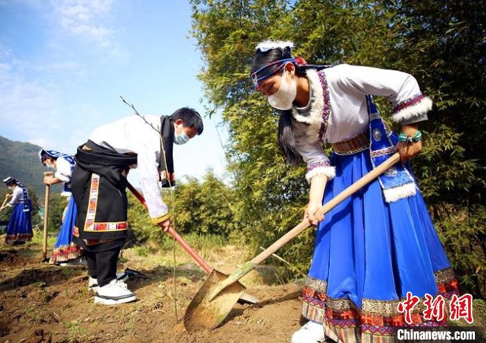 瑞安，城市发展与文化传承的和谐共生