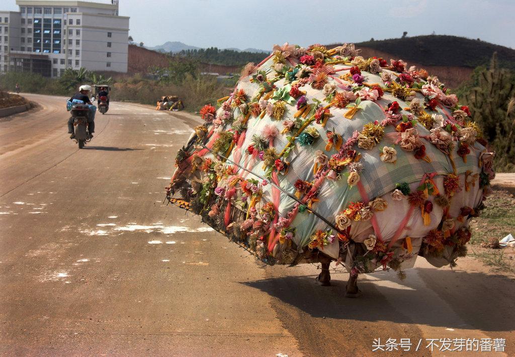 云霄房价走势及购房建议