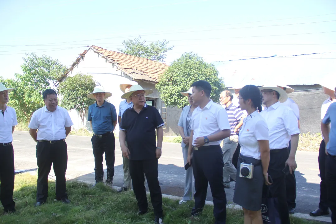 探索湘阴——繁华都市中的宜居家园