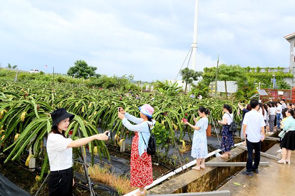 最新诠释新澳天天免费资料大全-注重写作细节-经典案例最新问题解决