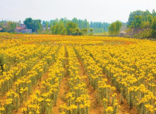 泰安，一座因山而名的城市，你了解多少？