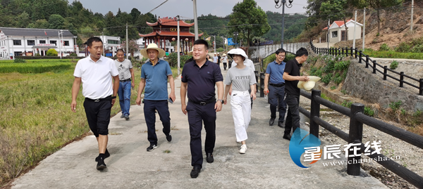 探索沙市，繁华都市中的宜居家园